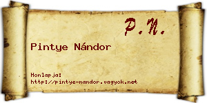 Pintye Nándor névjegykártya